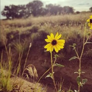 Meet your Posher, Noriya